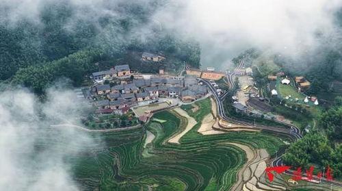 有什么明星来过政和,星光熠熠，明星足迹探寻之旅